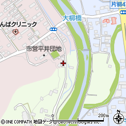 栃木県栃木市平井町218周辺の地図