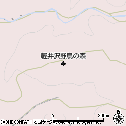 軽井沢野鳥の森周辺の地図