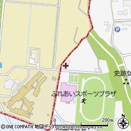 群馬県伊勢崎市下触町238-22周辺の地図