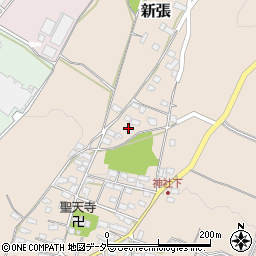 長野県東御市新張982-5周辺の地図