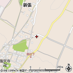 長野県東御市新張308周辺の地図