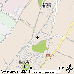 長野県東御市新張982周辺の地図