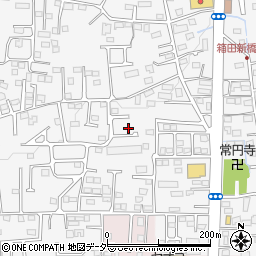 群馬県前橋市箱田町93周辺の地図