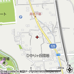 群馬県高崎市井出町493周辺の地図