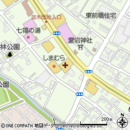 ダイソー前橋天川大島店周辺の地図