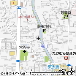 群馬県前橋市箱田町1594周辺の地図