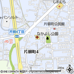 ウエルシア栃木片柳店周辺の地図