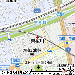茨城県水戸市東桜川周辺の地図