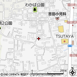 群馬県前橋市箱田町253周辺の地図