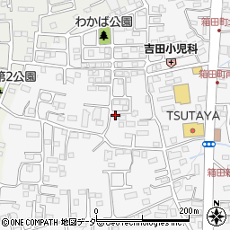 群馬県前橋市箱田町246周辺の地図