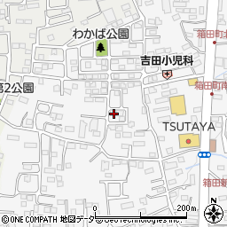 群馬県前橋市箱田町244周辺の地図