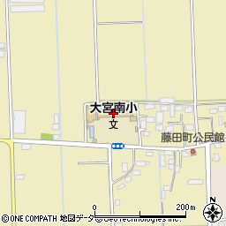栃木市立大宮南小学校周辺の地図