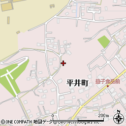 栃木県栃木市平井町503周辺の地図