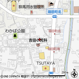 群馬県前橋市箱田町315周辺の地図