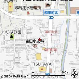 群馬県前橋市箱田町315-11周辺の地図