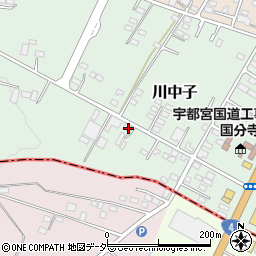 栃木県下野市川中子3-46周辺の地図