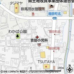 群馬県前橋市箱田町315-2周辺の地図