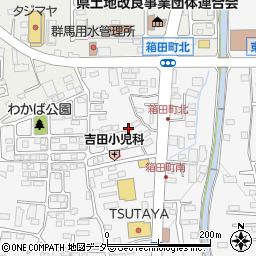 群馬県前橋市箱田町315-5周辺の地図