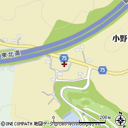 栃木県栃木市小野口町1005周辺の地図