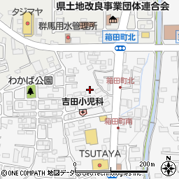 群馬県前橋市箱田町315-17周辺の地図