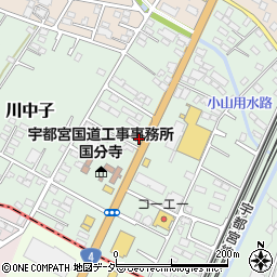 栃木県下野市川中子3329-598周辺の地図