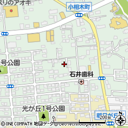 群馬県前橋市小相木町510周辺の地図