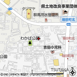 群馬県前橋市箱田町301-13周辺の地図