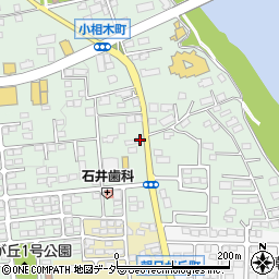 群馬県前橋市小相木町516周辺の地図