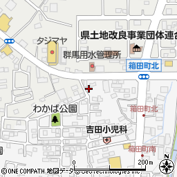 群馬県前橋市箱田町312周辺の地図