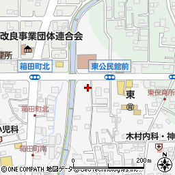 群馬県前橋市箱田町541周辺の地図