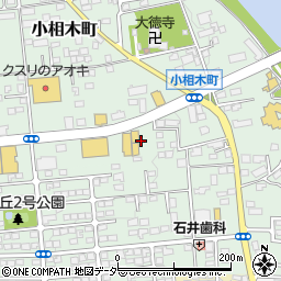 群馬県前橋市小相木町564周辺の地図