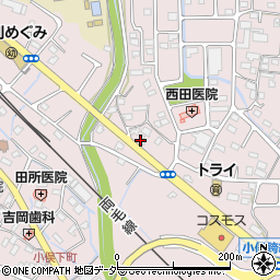 有限会社籾山電設周辺の地図