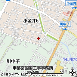 栃木県下野市小金井6丁目9周辺の地図