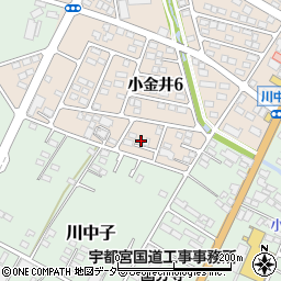 栃木県下野市小金井6丁目10周辺の地図