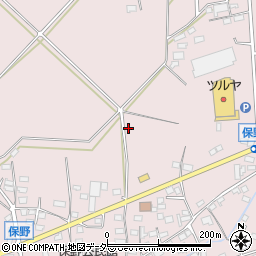 長野県上田市保野725周辺の地図