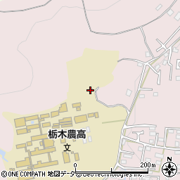 栃木県栃木市平井町1054周辺の地図