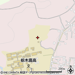 栃木県栃木市平井町1052周辺の地図