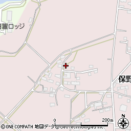 長野県上田市保野1073周辺の地図