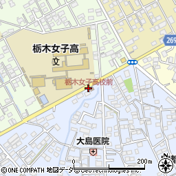 栃木女子高校前周辺の地図