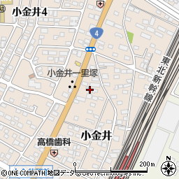 栃木県下野市小金井119周辺の地図