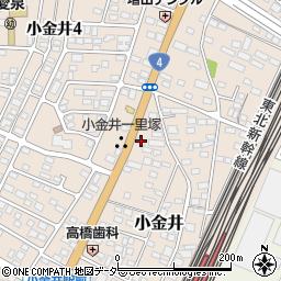 栃木県下野市小金井113-5周辺の地図