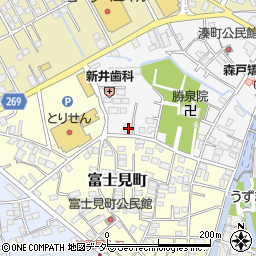 栃木県栃木市湊町4-4周辺の地図