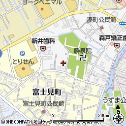 栃木県栃木市湊町4-30周辺の地図