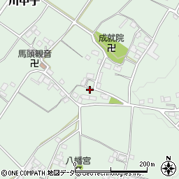 栃木県下野市川中子1142周辺の地図