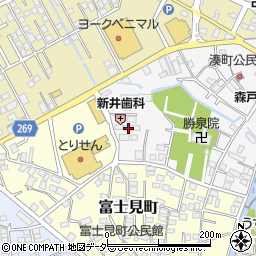 栃木県栃木市湊町4-11周辺の地図