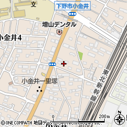 栃木県下野市小金井109周辺の地図