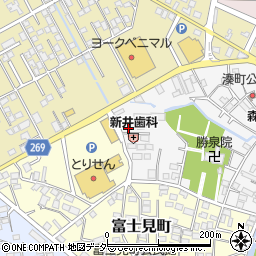 栃木県栃木市湊町4-13周辺の地図