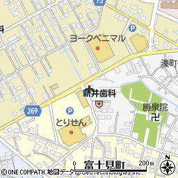 栃木県栃木市湊町4-15周辺の地図
