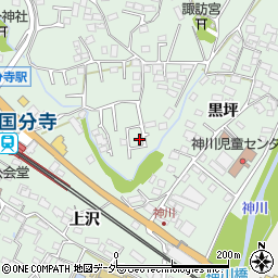 長野県上田市国分609周辺の地図