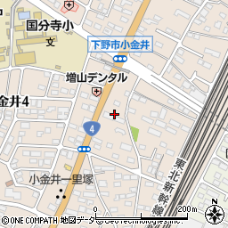 栃木県下野市小金井106周辺の地図